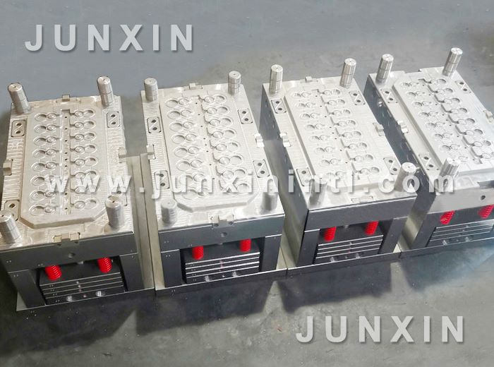 custom flip top cap mould