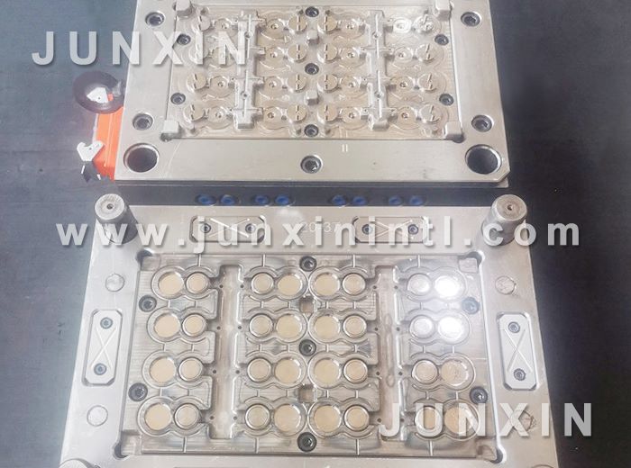 custom flip top cap mould