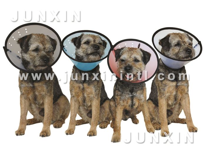 Pet protective collar