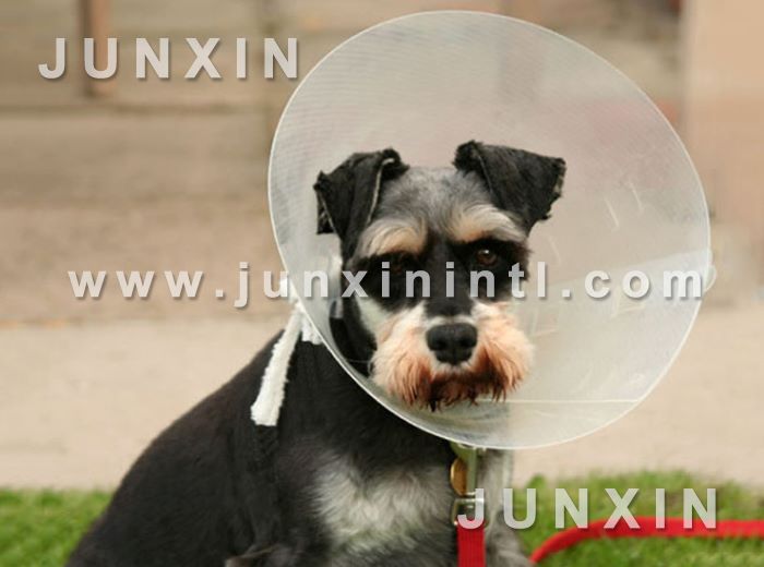 Pet protection cover