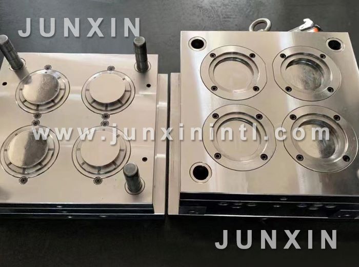 petri dish mould