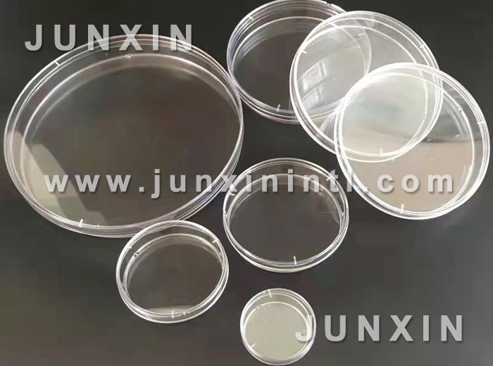 petri dish mould