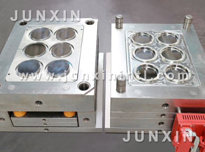 petri dish mould