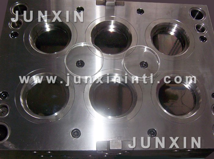 petri dish mould