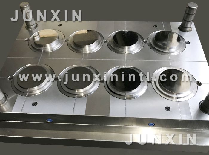 petri dish mould